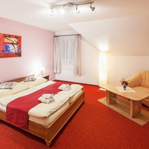Hotel Mc Limon, Новы-Йичин — фото 3