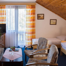 Pension Inge, Вишши-Брод — фото 2