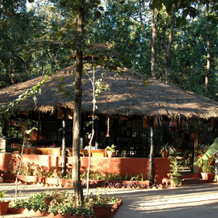 Kanha Jungle Lodge, Канья — фото 5