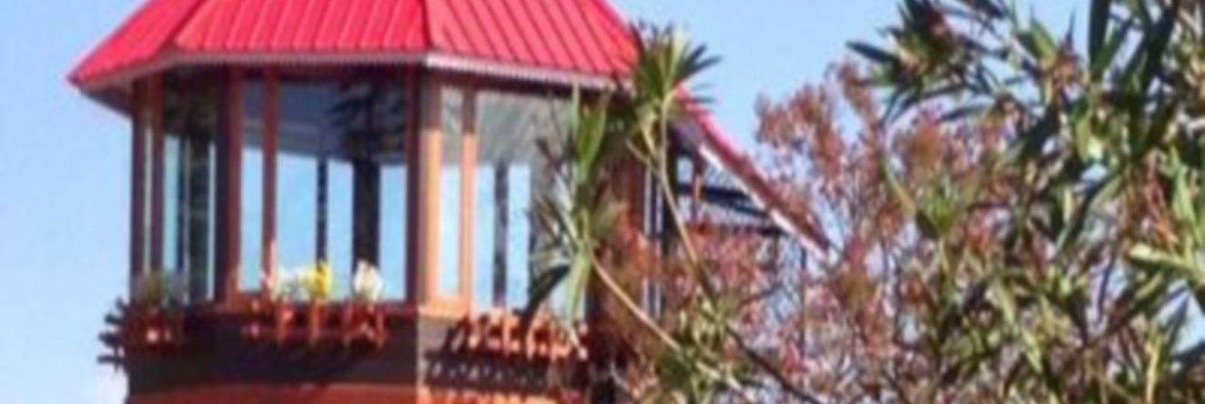The Chalets Naldehra, Naldehra — photo 1