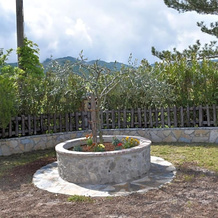 B&B Nel Verde, Montesano sulla Marcellana — photo 2