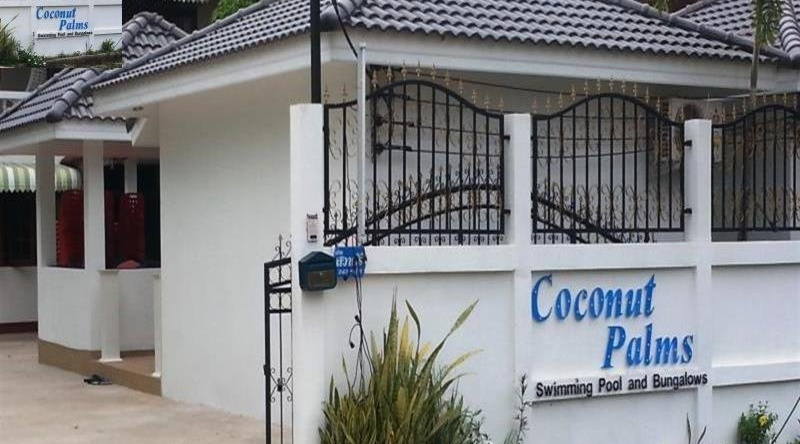 Coconut Palms, 坎塔拉威猜 — 照片 1