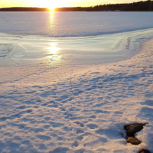 Private Island Gulf Of Finland, Расеборг — фото 5