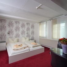 Hotel Zum Löwen, Langelsheim — photo 3