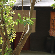 Shikinomori Shibian, Satsuma — photo 2