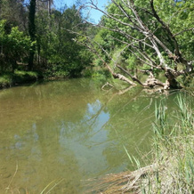 Alojamiento Alarcon, Arroyo Frio — photo 4