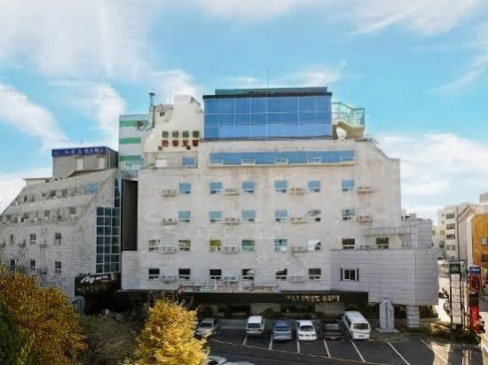 Hiddink Tourist Hotel, Кванджу — фото 1