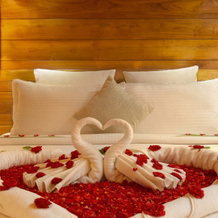 Coral Reef Resort & Spa, Havelock, 斯瓦拉杰德维普岛 — 照片 2