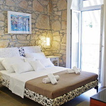 Guest House Villa Dagmar, 茨里克韦尼察 — 照片 2