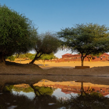 Rohida Luxury Desert Safari Camp Osian, Осиян — фото 5