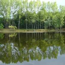 Lakeside Bed and Breakfast, 贝斯纳克 — 照片 4