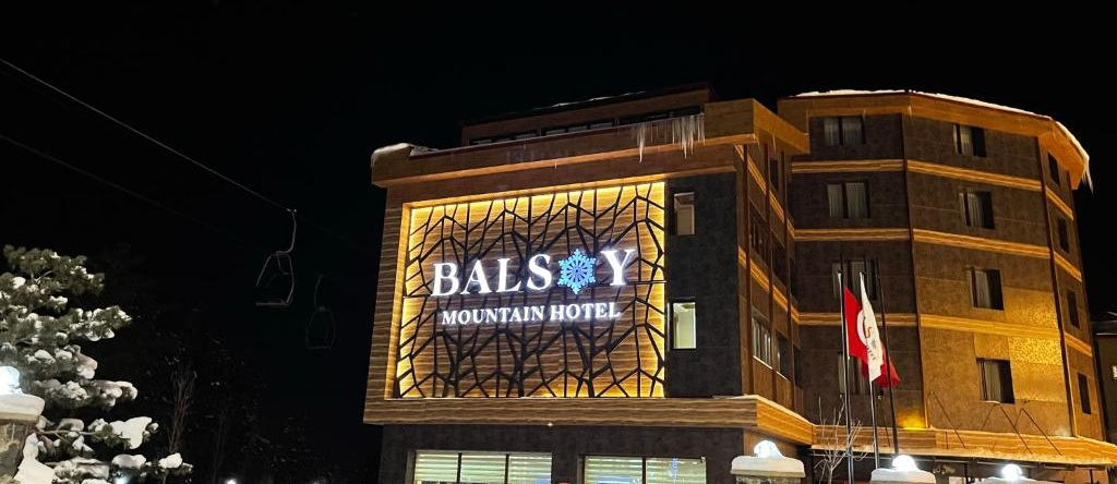 Balsoy Mountain Hotel, Эрзурум — фото 1