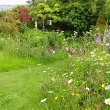 Thorpe Green House Vegetarian Bed And Breakfast, Файлингторп — фото 5