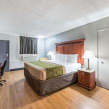 Econo Lodge, Бентон-Харбор — фото 5