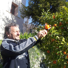 La Maison de Noélie - rez de jardin, Le Bar-sur-Loup — photo 4