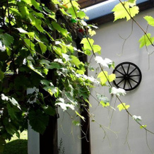 Ferienhaus-Mosella, 上费尔 — 照片 3