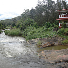 Coorg Spring Valley, Kushalnagar — photo 3