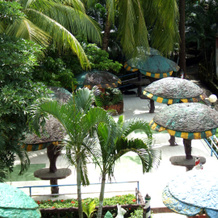 Palm Village Resort, 拉伊查克 — 照片 5