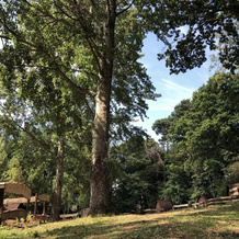 Edinburgh Cabin Camping, Горбридж — фото 4
