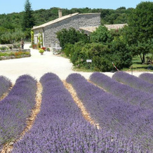 Ti Maen, Saint-Martin-d'Ardeche — photo 4