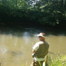 Carolina River Ranch, Franklin — photo 4