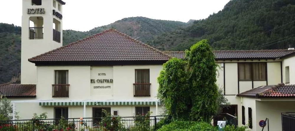 Termaeuropa el Olivar, 阿尔内迪略 — 照片 1