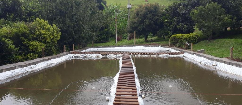 Sitio Pinhal, 圣若泽杜巴雷鲁 — 照片 1