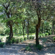 La Bastide Monte-Crau, Eyragues — photo 2