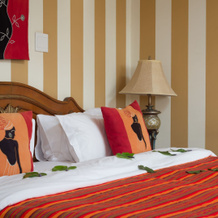 Bohemian Guest House, 比勒陀利亚 — 照片 5