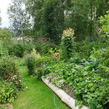 Brigitte's Bavarian Bed und Breakfast, 卡切马克 — 照片 2