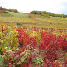 Domaine des Aloets, 麻坡 — 照片 2