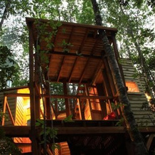 Casita Arbol, 富特罗诺 — 照片 3