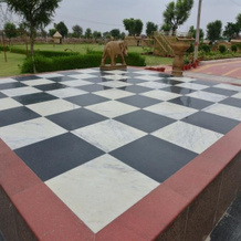 Shagun Resorts Jodhpur, Чанделао — фото 3