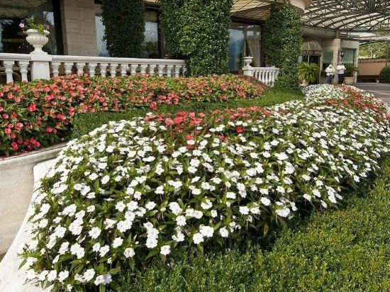 Grand Bristol, Stresa — photo 1