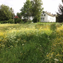 Skagen Gaard, 博多 — 照片 5