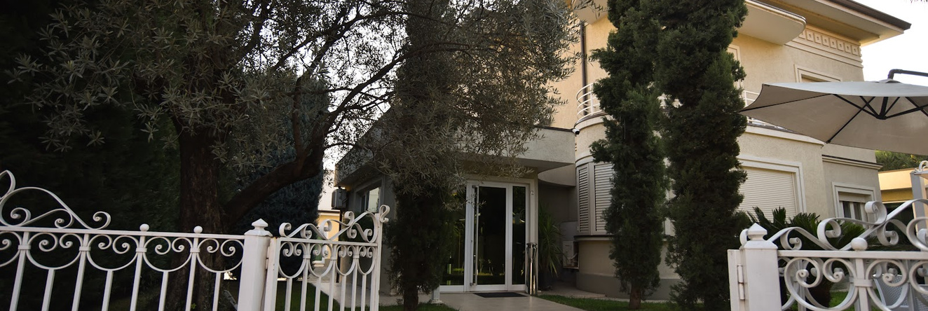 Sokrat, Tirana — photo 1