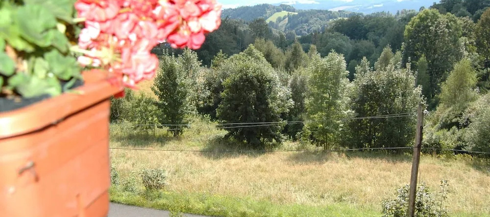 Spacious Cottage in the Giant Mountains, Near the Ski Slopes, 耶斯特沙比弗克尔科诺希赫 — 照片 1