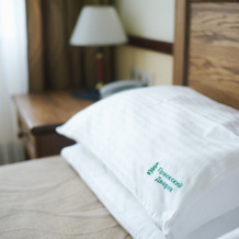 Priokskij Dvorik Hotel, 阿列克辛 — 照片 5