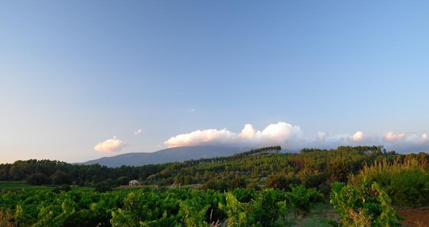 Gîte de Bacalan, 莫尔穆瓦龙 — 照片 1