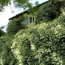 In centro - Mutino, 马萨罗萨 — 照片 4