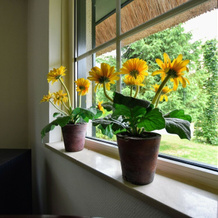 Tasteful Villa in Guelders with a Private Terrace, 本内科姆 — 照片 3