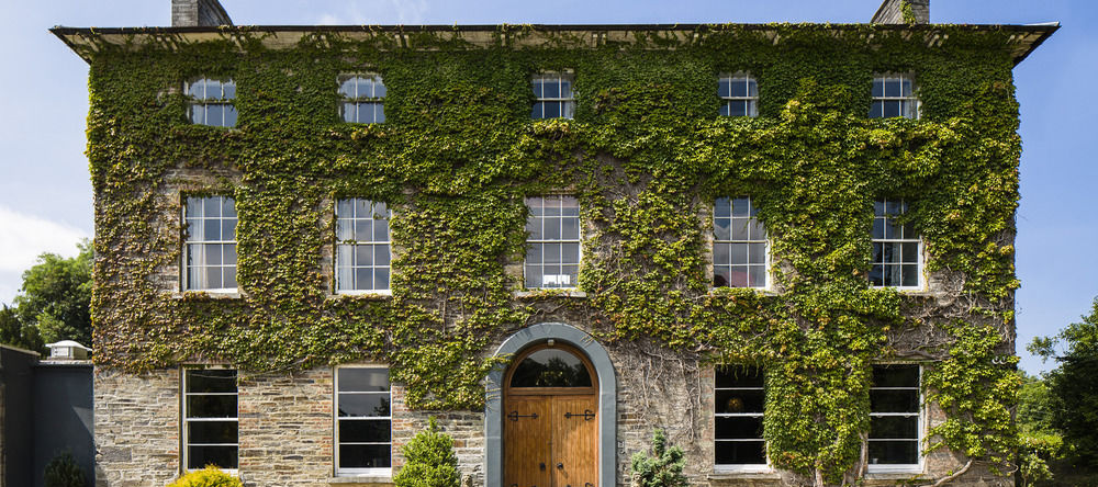 Hammet at Castell Malgwyn, 西尔杰兰 — 照片 1