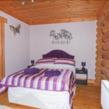 Tamaura Lodge, 彭特尼 — 照片 2