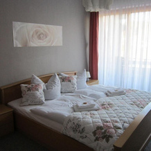 Hotel Burghof, 迪布利希 — 照片 3