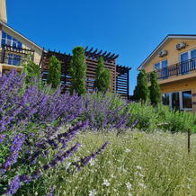 Гостевой Дом Abrau Soul&Spa, Абрау-Дюрсо — фото 4