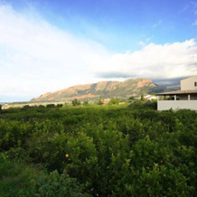 Calajò Resort, 特拉佩托 — 照片 4