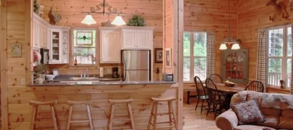 Coon`s Den-Blue Ridge Cabin Rental, Дактаун — фото 1