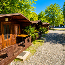 Tri Topolya Resort, 勒德扎 — 照片 3