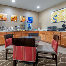 Comfort Inn Apalachin / Binghamton W Route 17, 奥韦戈 — 照片 3