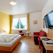 Winzerhotel Zum Moselstrand, Бридерн — фото 3